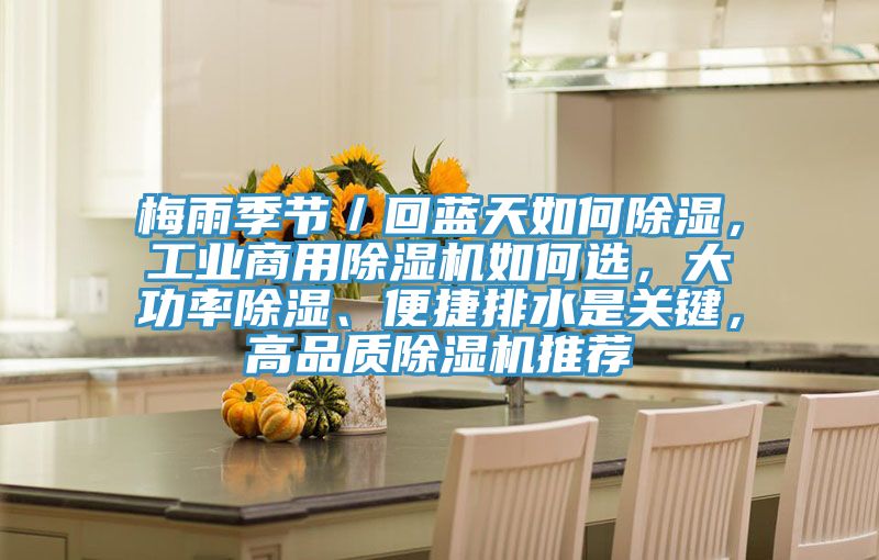 梅雨季节／回蓝天如何除湿，工业商用MR.好色破解版如何选，大功率除湿、便捷排水是关键，高品质MR.好色破解版推荐
