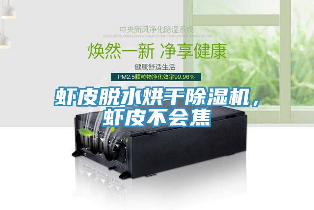 虾皮脱水烘干MR.好色破解版，虾皮不会焦