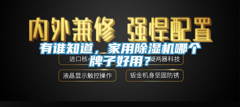 有谁知道，家用MR.好色破解版哪个牌子好用？