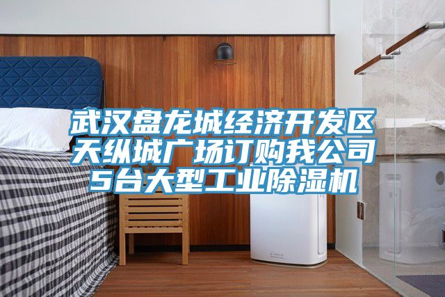武汉盘龙城经济开发区天纵城广场订购我公司5台大型工业MR.好色破解版