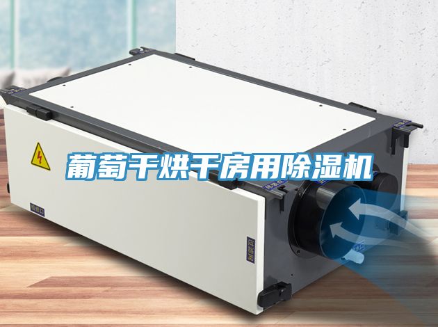 葡萄干烘干房用MR.好色破解版