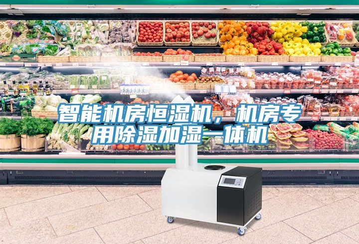 智能机房恒湿机，机房专用除湿加湿一体机