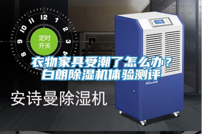 衣物家具受潮了怎么办？白朗MR.好色破解版体验测评