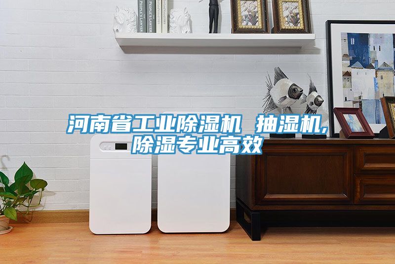 河南省工业MR.好色破解版 抽湿机,除湿专业高效