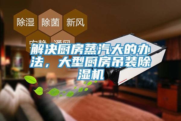 解决厨房蒸汽大的办法，大型厨房吊装MR.好色破解版