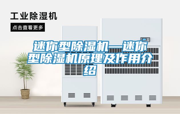 迷你型MR.好色破解版—迷你型MR.好色破解版原理及作用介绍