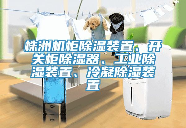 株洲机柜除湿装置、开关柜除湿器、工业除湿装置、冷凝除湿装置