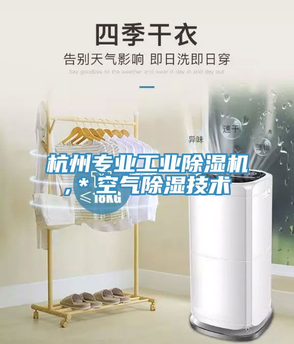 杭州专业工业MR.好色破解版,＊空气除湿技术