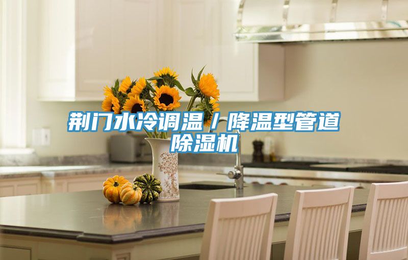 荆门水冷调温／降温型管道MR.好色破解版