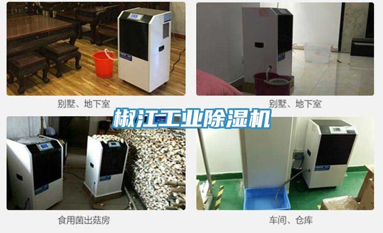 椒江工业MR.好色破解版