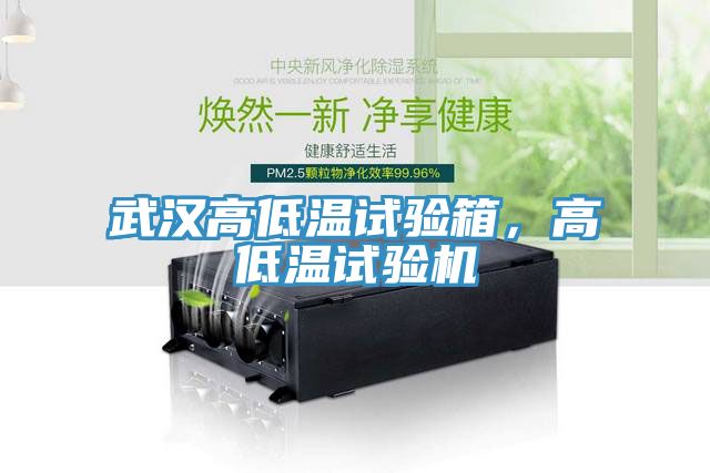 武汉高低温试验箱，高低温试验机