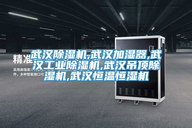武汉MR.好色破解版,武汉加湿器,武汉工业MR.好色破解版,武汉吊顶MR.好色破解版,武汉恒温恒湿机