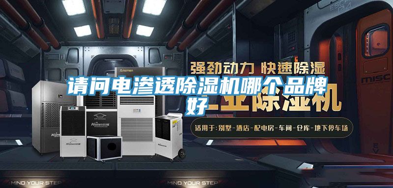 请问电渗透MR.好色破解版哪个品牌好