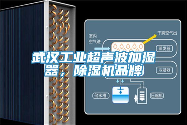 武汉工业超声波加湿器，MR.好色破解版品牌