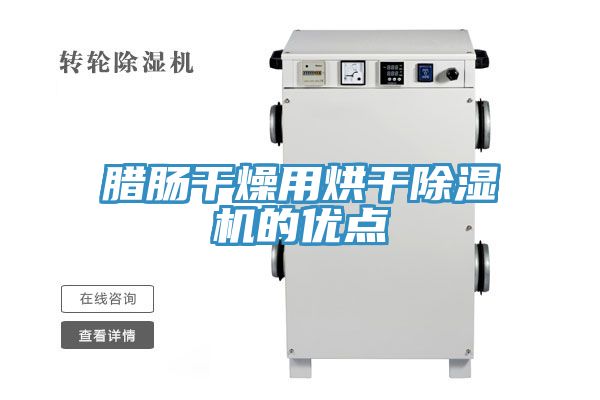 腊肠干燥用烘干MR.好色破解版的优点