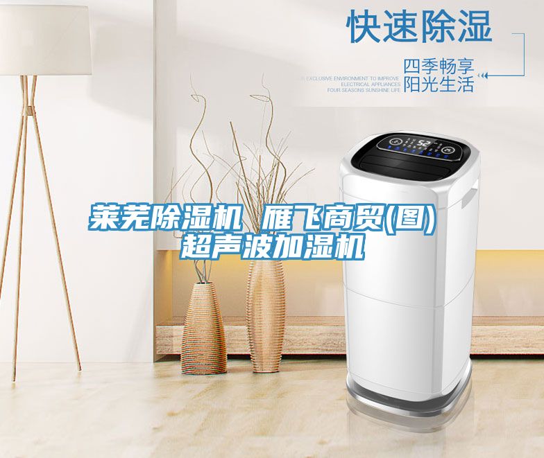 莱芜MR.好色破解版 雁飞商贸(图) 超声波加湿机