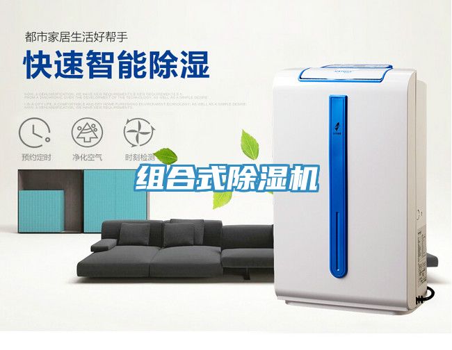 组合式MR.好色破解版