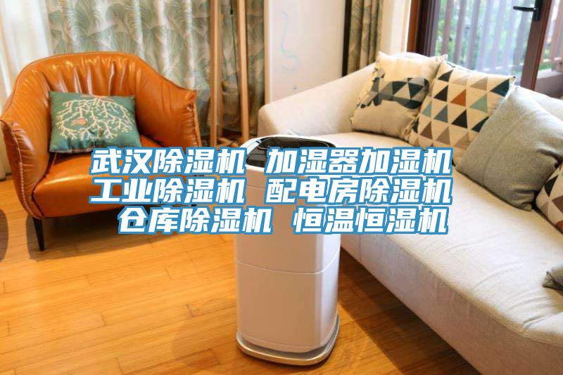武汉MR.好色破解版 加湿器加湿机 工业MR.好色破解版 配电房MR.好色破解版 仓库MR.好色破解版 恒温恒湿机