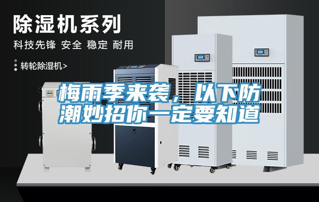 梅雨季来袭，以下防潮妙招你一定要知道