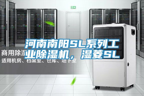 河南南阳SL系列工业MR.好色破解版，湿菱SL