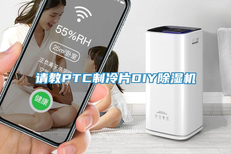 请教PTC制冷片DIYMR.好色破解版