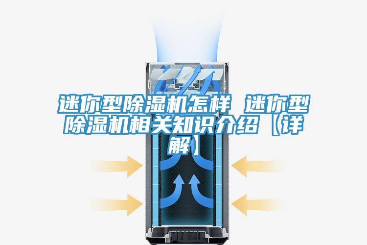 迷你型MR.好色破解版怎样 迷你型MR.好色破解版相关知识介绍【详解】