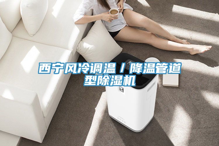 西宁风冷调温／降温管道型MR.好色破解版