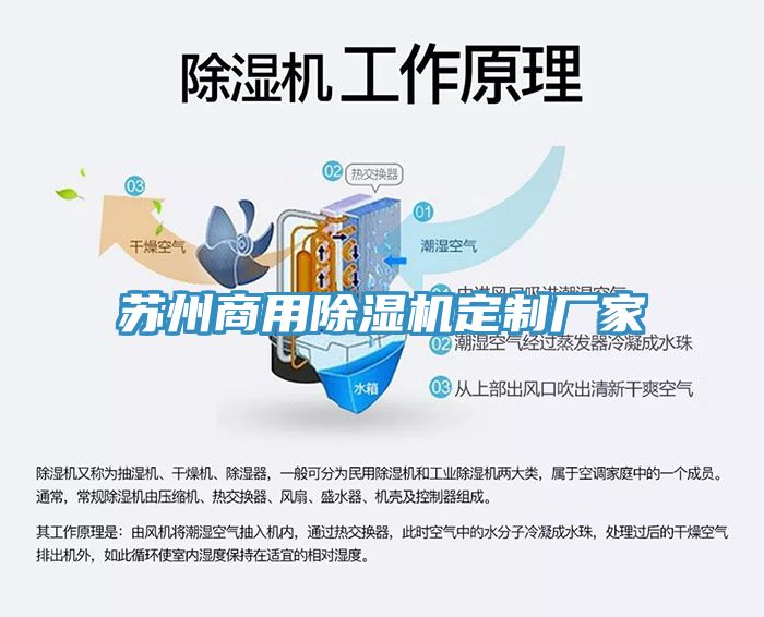 苏州商用MR.好色破解版定制厂家