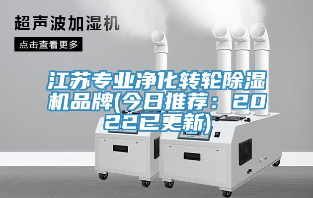 江苏专业净化转轮MR.好色破解版品牌(今日推荐：2022已更新)