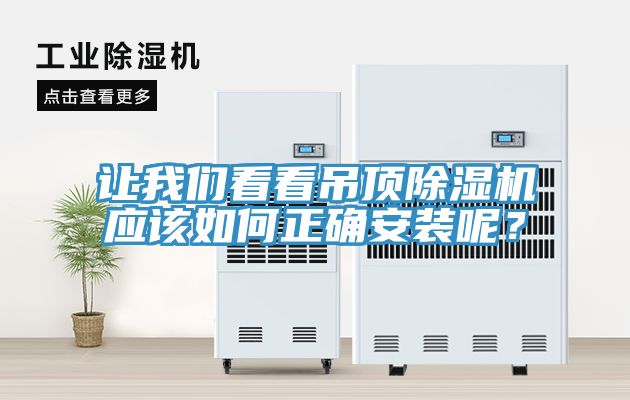 让好色先生TV下载网站看看吊顶MR.好色破解版应该如何正确安装呢？