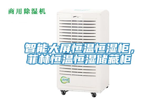 智能大屏恒温恒湿柜，菲林恒温恒湿储藏柜