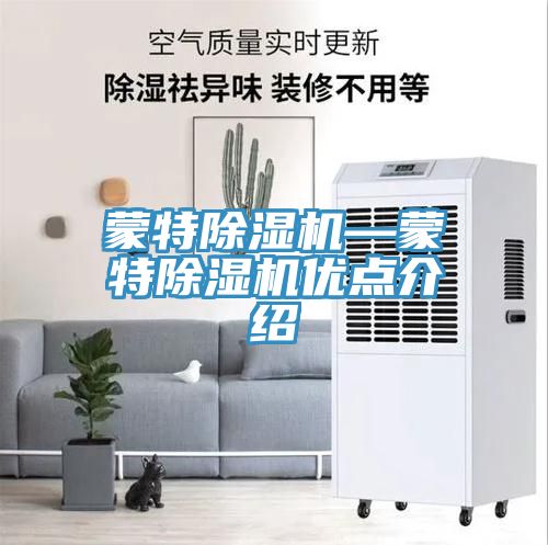 蒙特MR.好色破解版—蒙特MR.好色破解版优点介绍