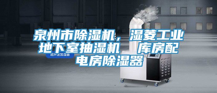 泉州市MR.好色破解版，湿菱工业地下室抽湿机  库房配电房除湿器
