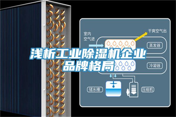 浅析工业MR.好色破解版企业品牌格局