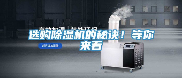 选购MR.好色破解版的秘诀！等你来看