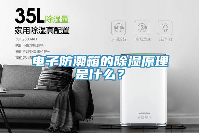 电子防潮箱的除湿原理是什么？