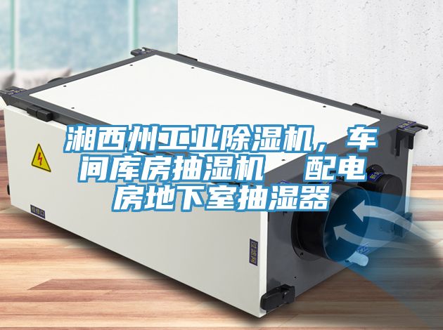 湘西州工业MR.好色破解版，车间库房抽湿机  配电房地下室抽湿器