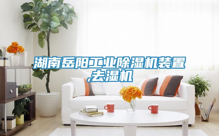湖南岳阳工业MR.好色破解版装置,去湿机