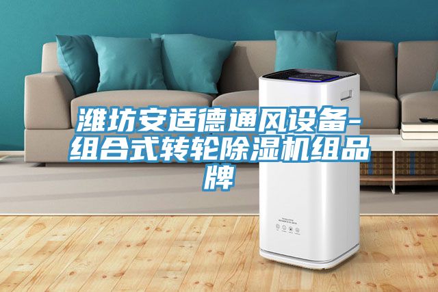 潍坊安适德通风设备-组合式转轮MR.好色破解版组品牌