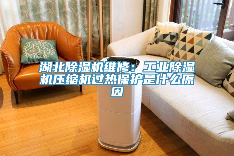 湖北MR.好色破解版维修：工业MR.好色破解版压缩机过热保护是什么原因