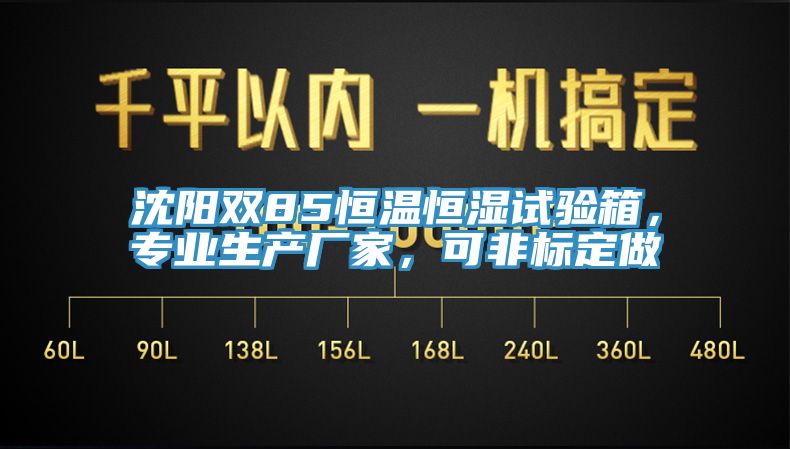 沈阳双85恒温恒湿试验箱，专业生产厂家，可非标定做