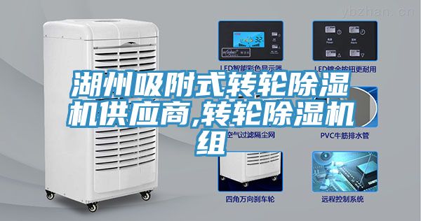 湖州吸附式转轮MR.好色破解版供应商,转轮MR.好色破解版组