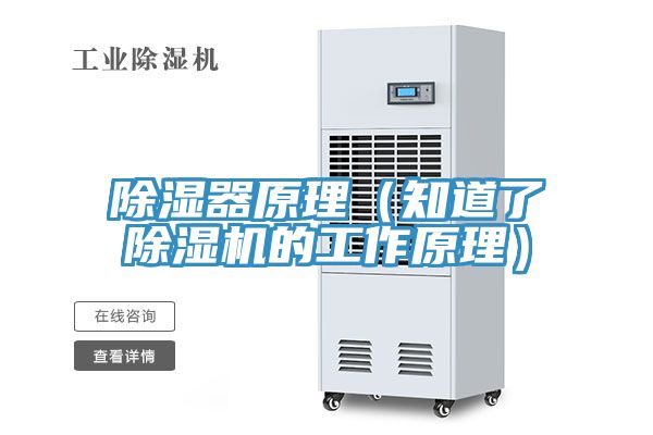 除湿器原理（知道了MR.好色破解版的工作原理）