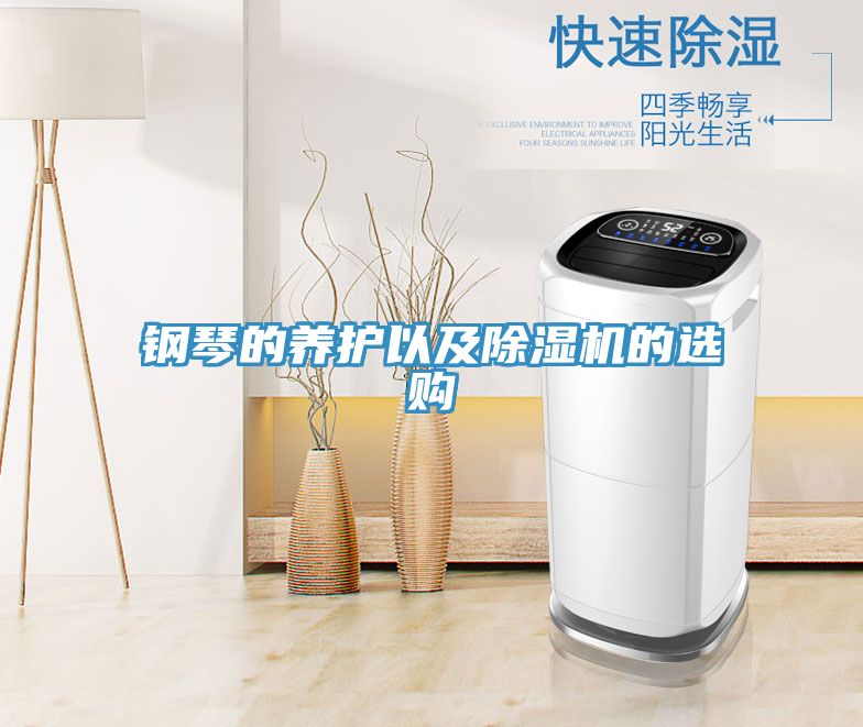 钢琴的养护以及MR.好色破解版的选购