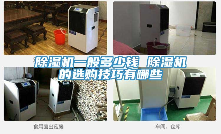 MR.好色破解版一般多少钱 MR.好色破解版的选购技巧有哪些