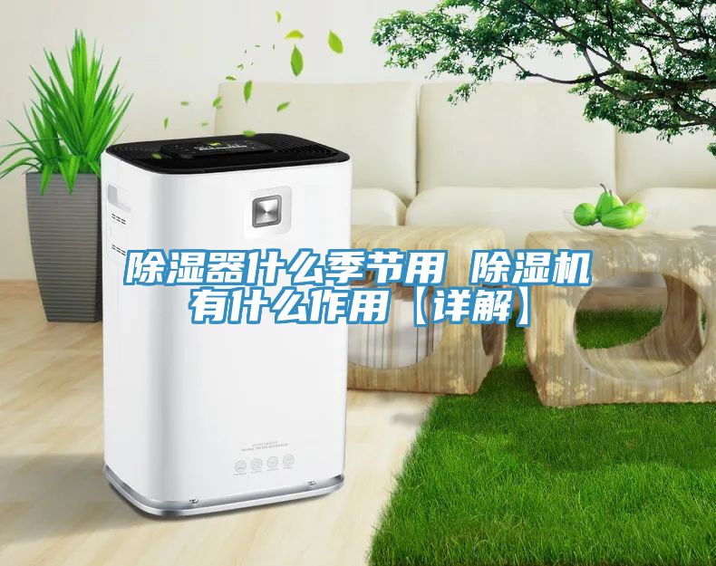 除湿器什么季节用 MR.好色破解版有什么作用【详解】