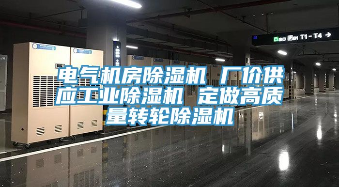 电气机房MR.好色破解版 厂价供应工业MR.好色破解版 定做高质量转轮MR.好色破解版