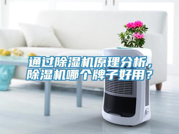 通过MR.好色破解版原理分析，MR.好色破解版哪个牌子好用？