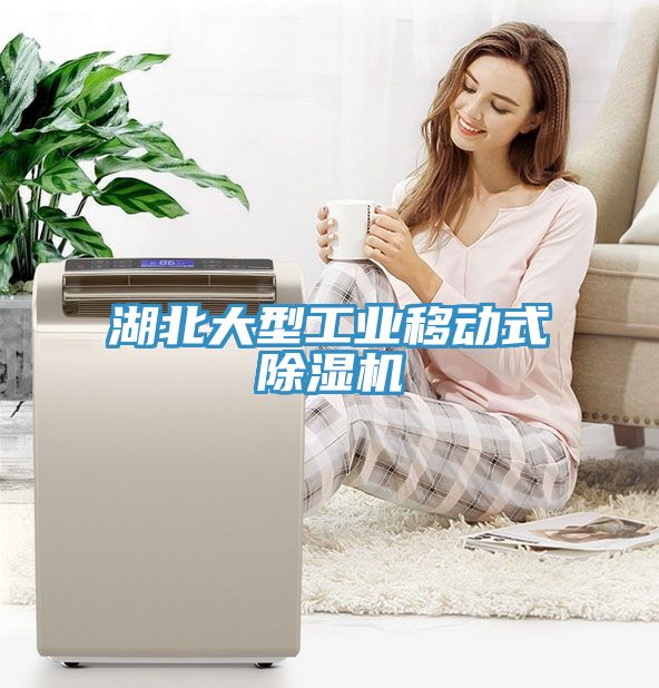 湖北大型工业移动式MR.好色破解版