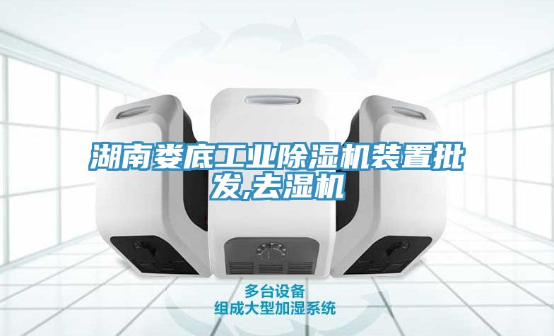 湖南娄底工业MR.好色破解版装置批发,去湿机
